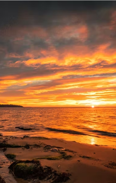 Sunset over the ocean